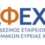 EFEX_logo